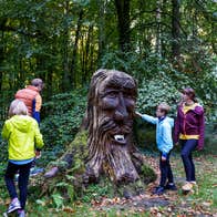 A family of four exploring the Kinnity Castle Fair Trail in County Offaly