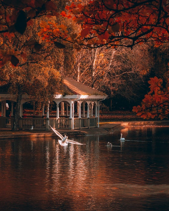 The bandstand in St Stephen's Green in Dublin city during autumn