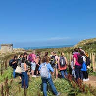 Foraging Tour on Ireland's Eye, Howth Co. Dublin