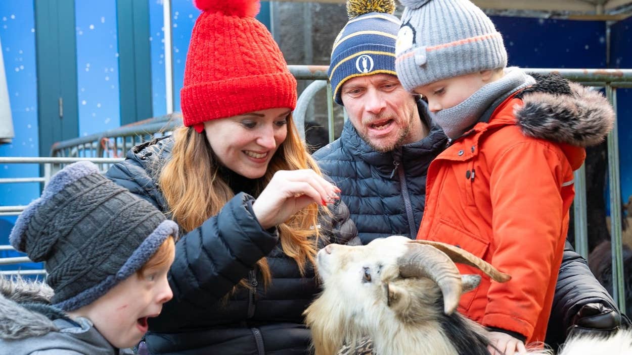 Visitors meet with animals from Kiltimagh Pet Farm at the live crib in Turlough Park. Image: John Mee