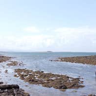 A group of people wading in the sea surrounded by oyster beds
