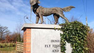 The Irish Fly Fishing and Game Shooting Museum