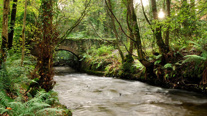 Bridge over a stream in Dun Na Ri Forest Park.