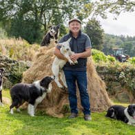 A farmer holds a lamb with four sheepdogs relaxing around him