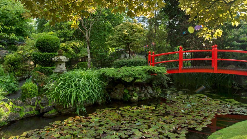 Bridge over pond in Japanese Gardens
