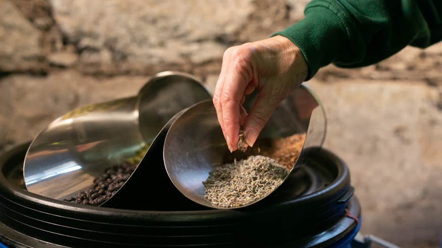 The image shows a hand picking up grains from a silver shovel.