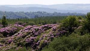 A view from Knockmealdown Mountains.