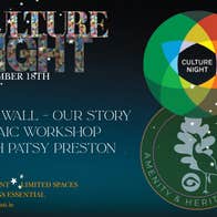 Culture Night 2026 at Dún na Sí: join artist Patsy Preston for an adults-only mosaic workshop. Create colourful artwork, explore new techniques and become part of Our Wall – Our Story. Free event, limited spaces. Booking essential.