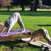 A child and adult outdoors each on a mat in a yoga pose.
