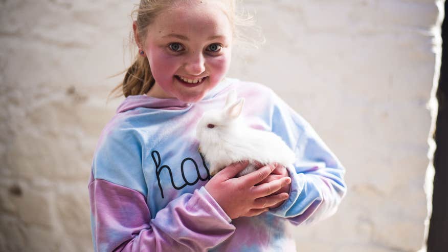 Take the kids to meet fuzzy friends at Belvedere House.