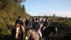 Birr Equestrian Centre