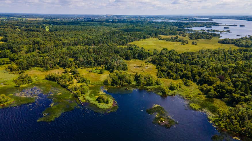 Aerial view of Portumna Forest Park, Co Galway