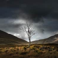 Exhibition: Dundalk Photographic Society 2026