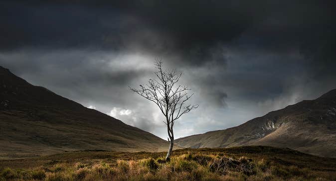 Exhibition: Dundalk Photographic Society 2026