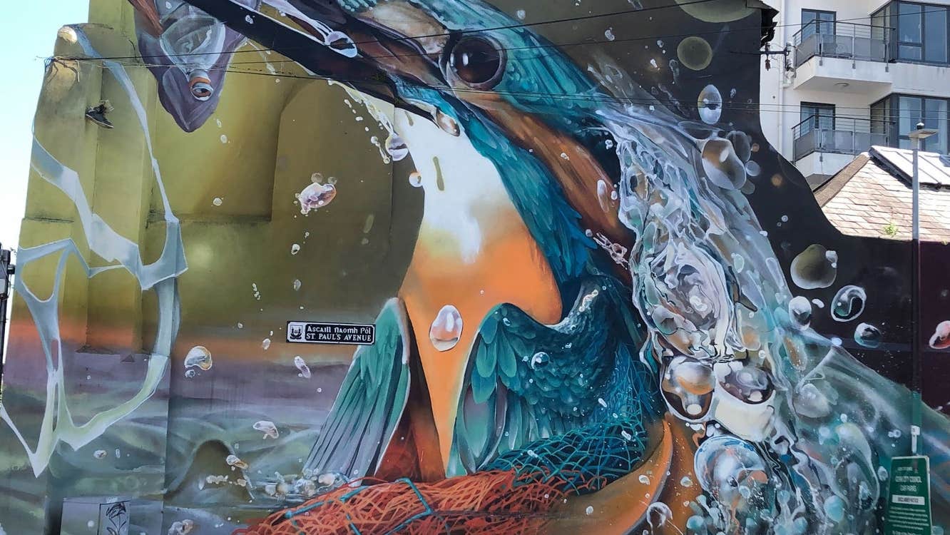A street art image in Cork city of a sea bird with a fish in their mouth