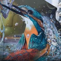 A street art image in Cork city of a sea bird with a fish in their mouth