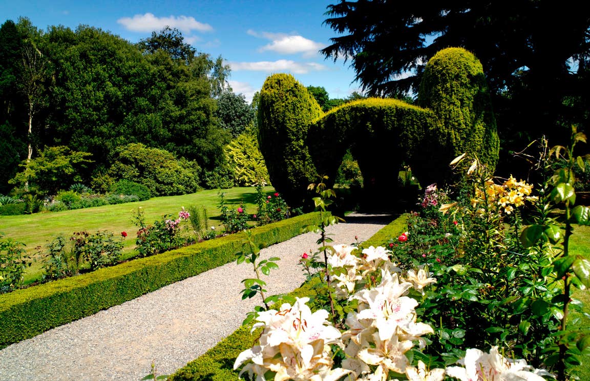 Altamont Gardens and flowers on a sunny day is just one of the great things to do in Carlow