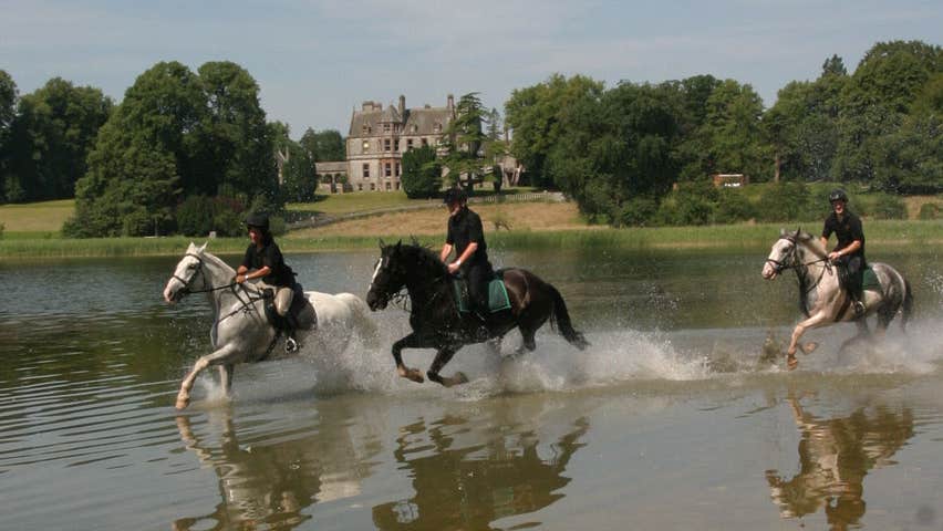 Horses galloping at Castle Leslie Equestrian Centre Glaslough County Monaghan