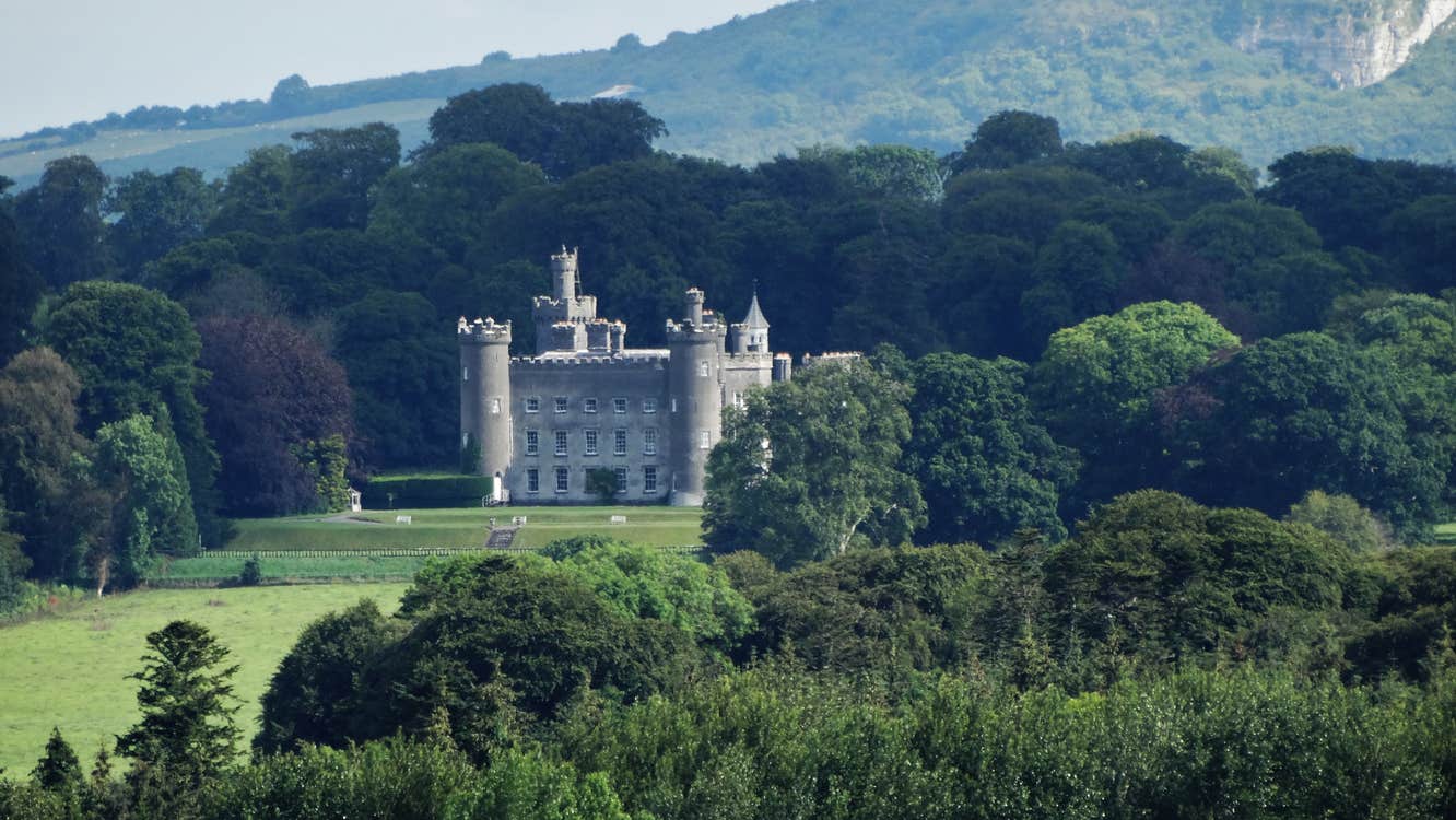 Castle in the background of trees