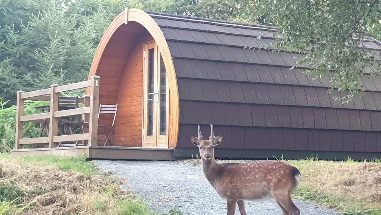 Front view of glamping pod