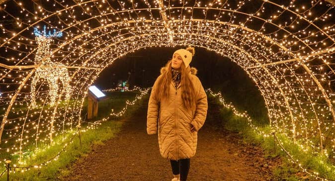 ADVENTURE LIGHTS - SKYPARK CARLINGFORD
