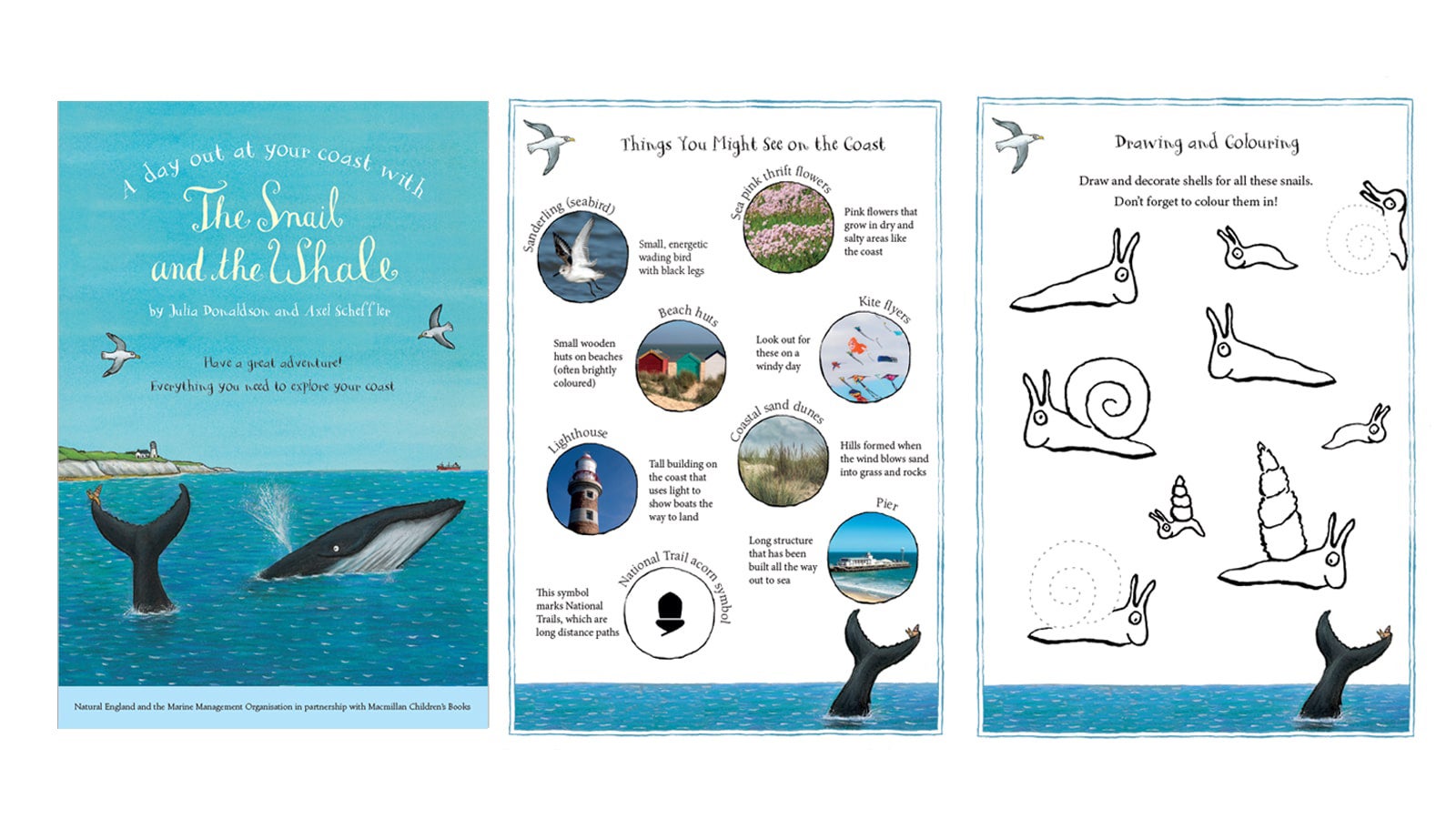 Have a coastal adventure with The Snail and the Whale booklets.jpg