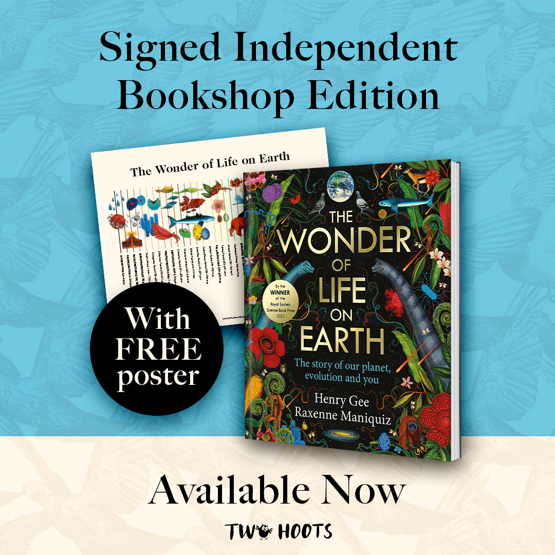 Wonder of Life_Square_OUT NOW.png