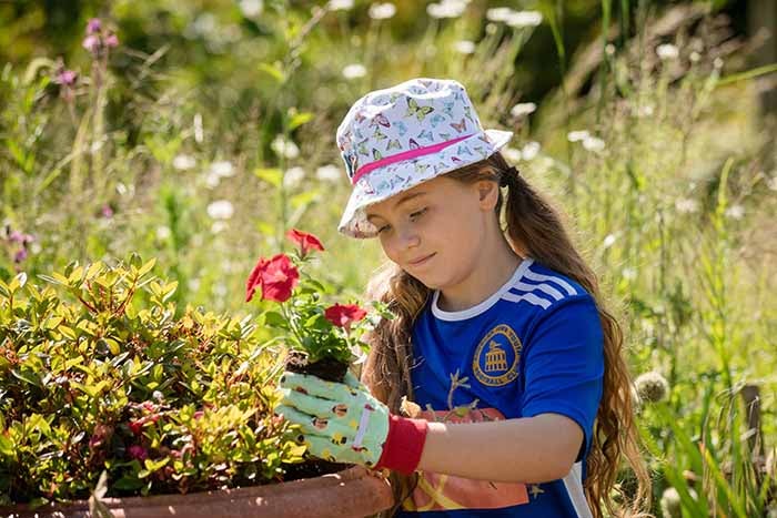 A little girl gardening. She's re-potting a flower into a larger plant pot. 